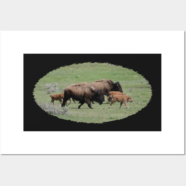 Buffalo Herd Wall Art by Whisperingpeaks